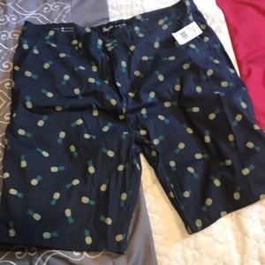 Brooklyn Cloth Co Twill Shorts Pineapple 40